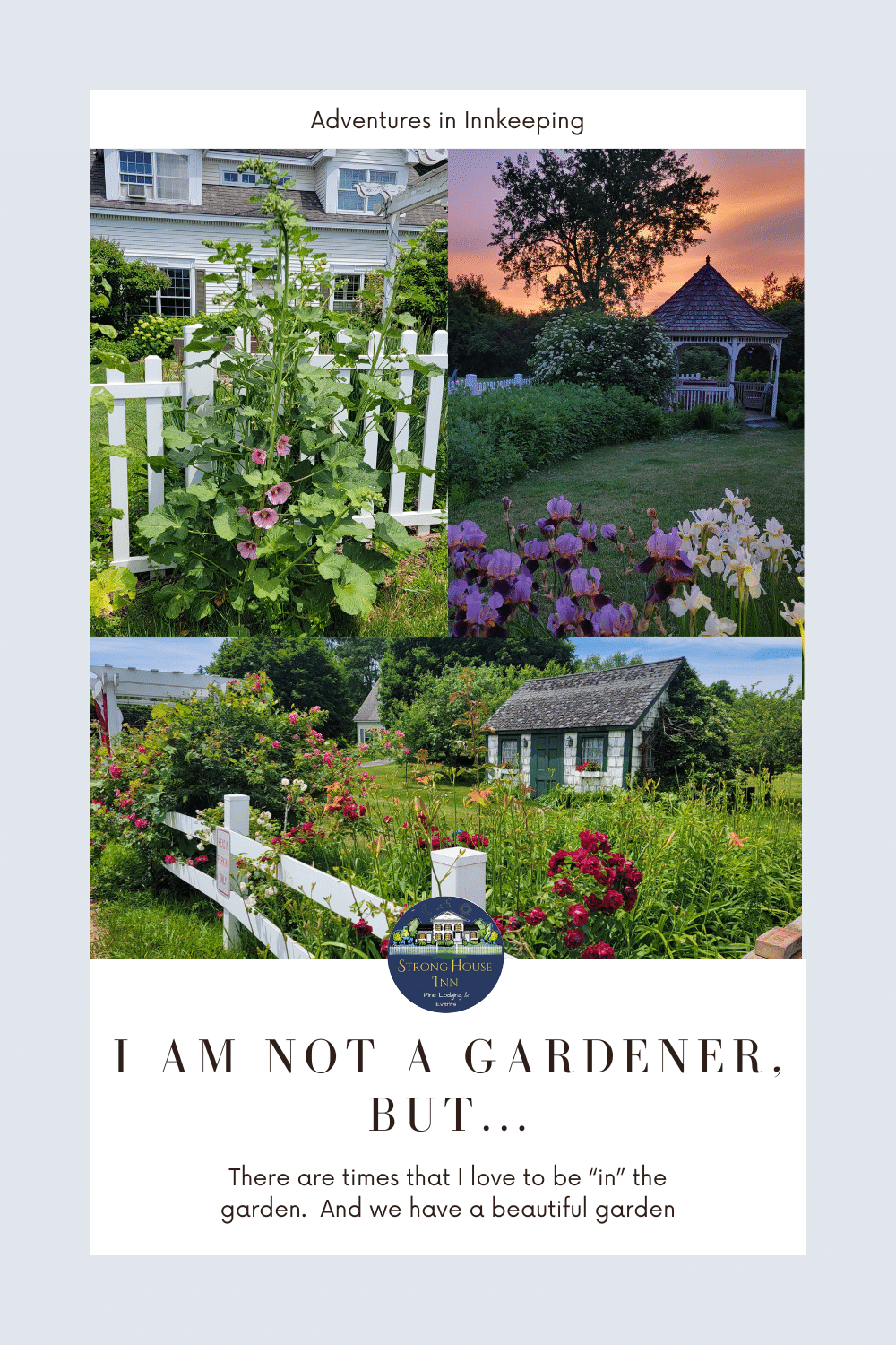 Three pictures of the gardens at Strong House Inn with roses, hollyhocks, sunset and irises.