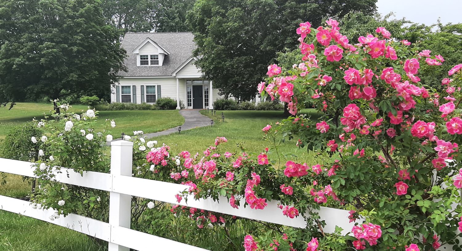 Exterior view of the property painted yellow with white trim and fence surrounded by green grass and trees and pink flowers