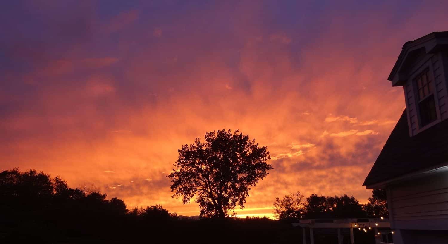 Sky at dusk filled with hues of purple, orange and yellow with trees in the background