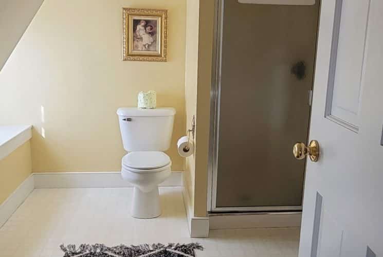 Bathroom painted a cheery light-yellow with a shower and window.