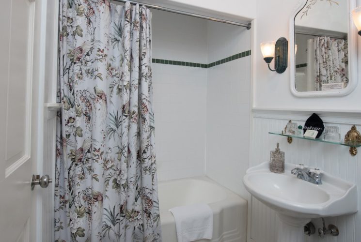 Bathroom with tub/shower combo, wainscot, pillar sink and mirror with two wall sconces.