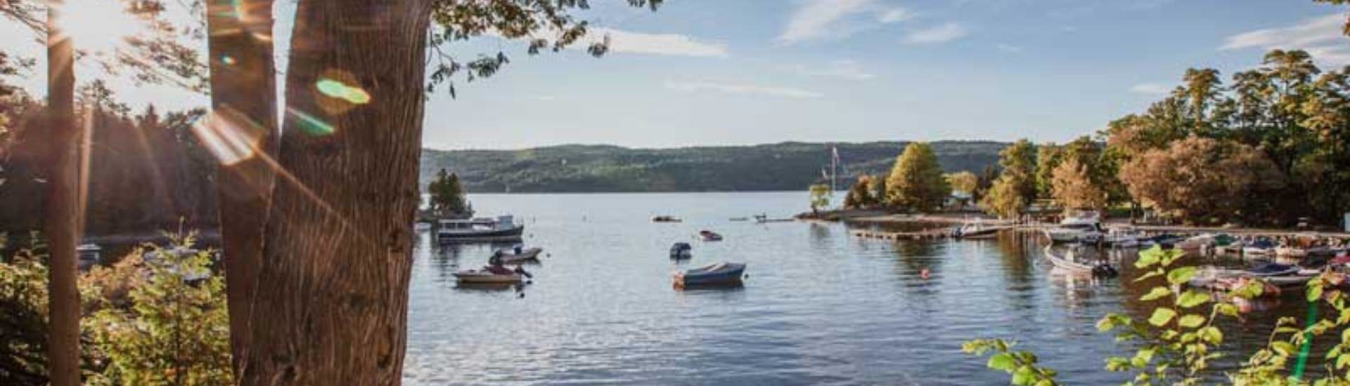 Lake view with boats on the water, a dock and sun shining through trees.