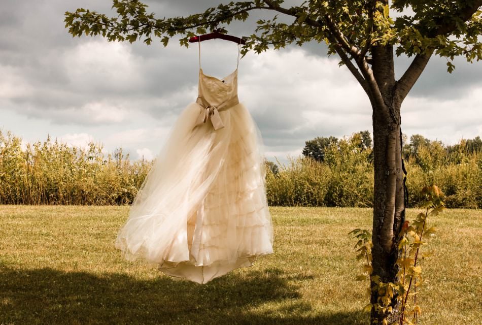 Diaphanous wedding dress on a hanger hung from a tree branch with clouded sky and meadow behind.