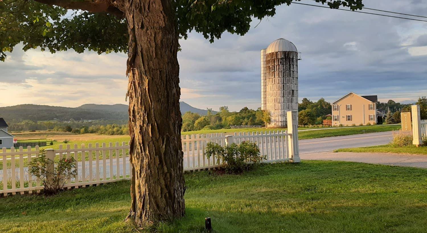 Large tree surrounded by green grass and white picket fence with a house and old silo in the background