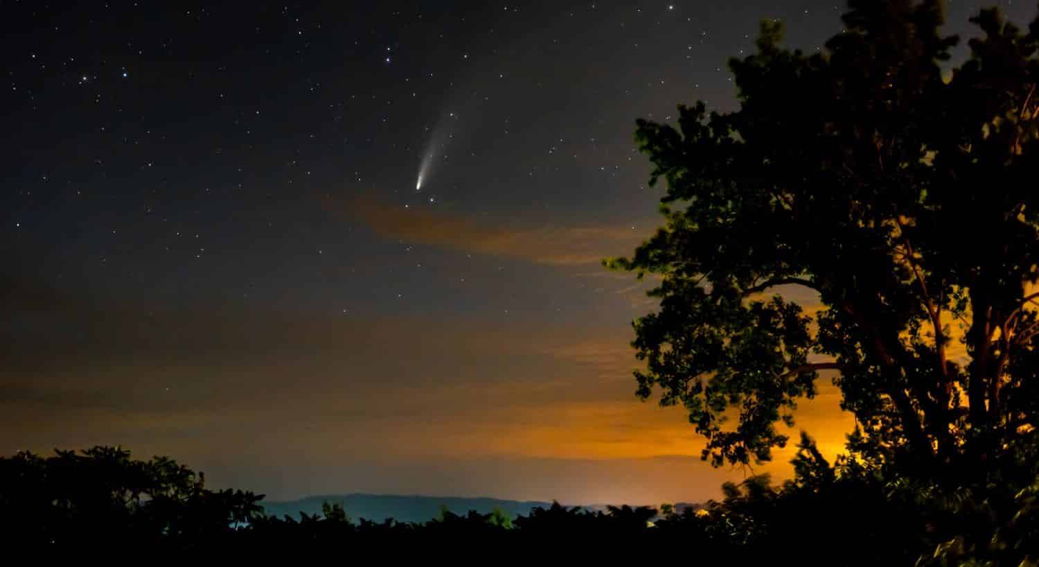 Sky at dusk with visible stars and comet in the background and a green tree on the right